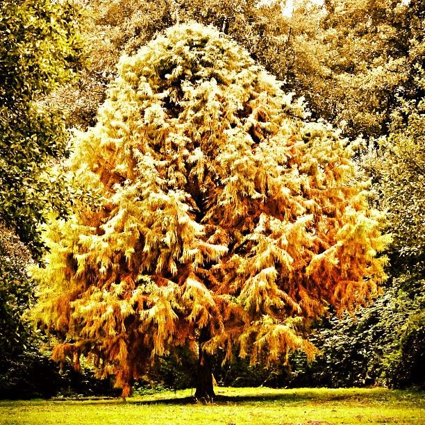 ... Il va falloir s'habituer aux couleurs de l'automne - from Instagram