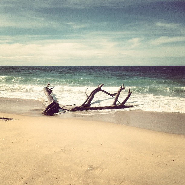 Plage sauvage