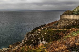 Blog de l'ours-26102015-_MGL0586--sans titreISO 200-19 mm-00002