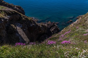 Blog de lours-10-15052016-_MGL1218--sans titreISO 200-19 mm