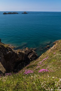 Blog de lours-11-15052016-_MGL1219--sans titreISO 200-19 mm